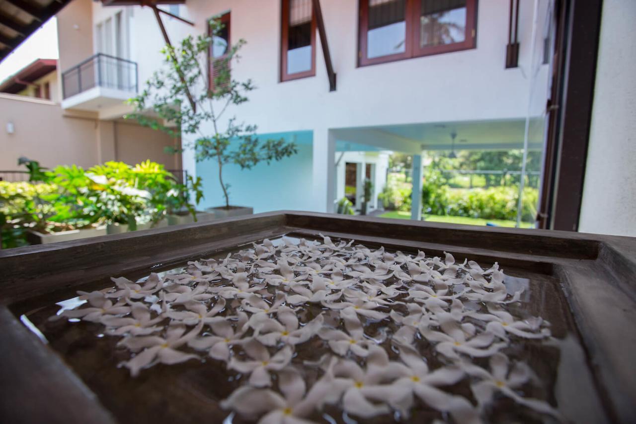 Villa Jasmine Breeze Kaduwela Exteriör bild